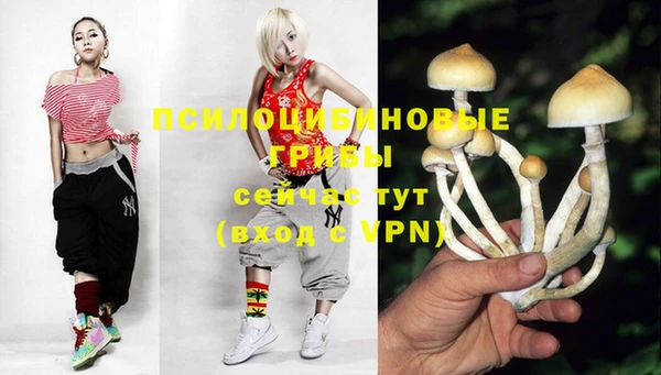 MESCALINE Белокуриха