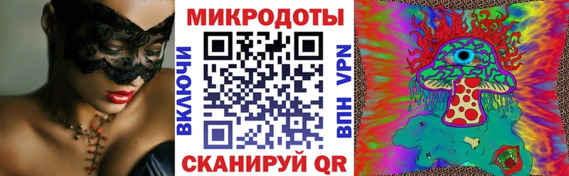 гидра ссылка  Светогорск  Галлюциногенные грибы Psilocybine cubensis 